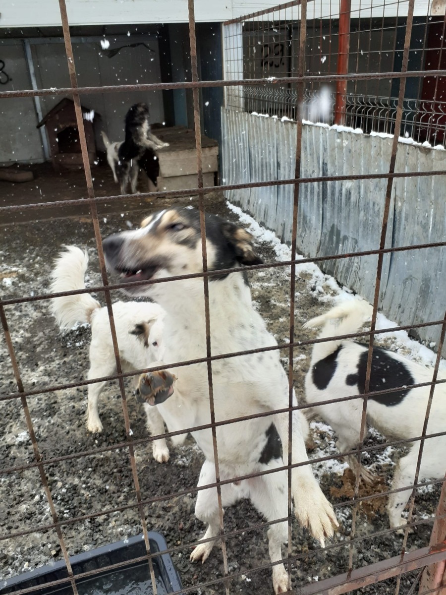 484152764_3507694526205225_6591855367317207102_n