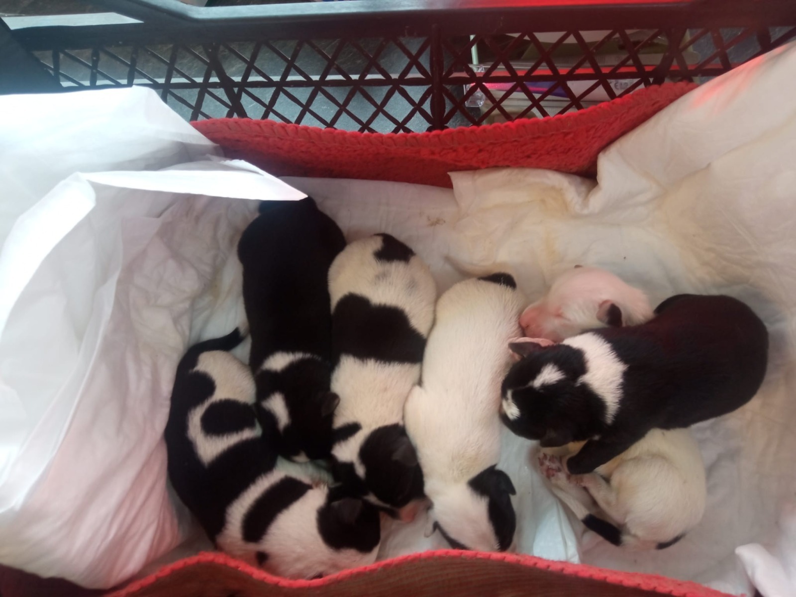 500814320_3573572946284049_3462609775281437284_n