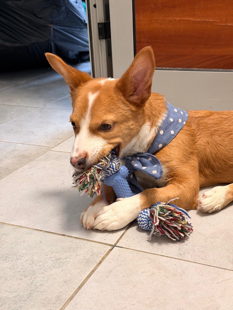 52fe588a-1650-4005-91eb-904a3613b4b3 2