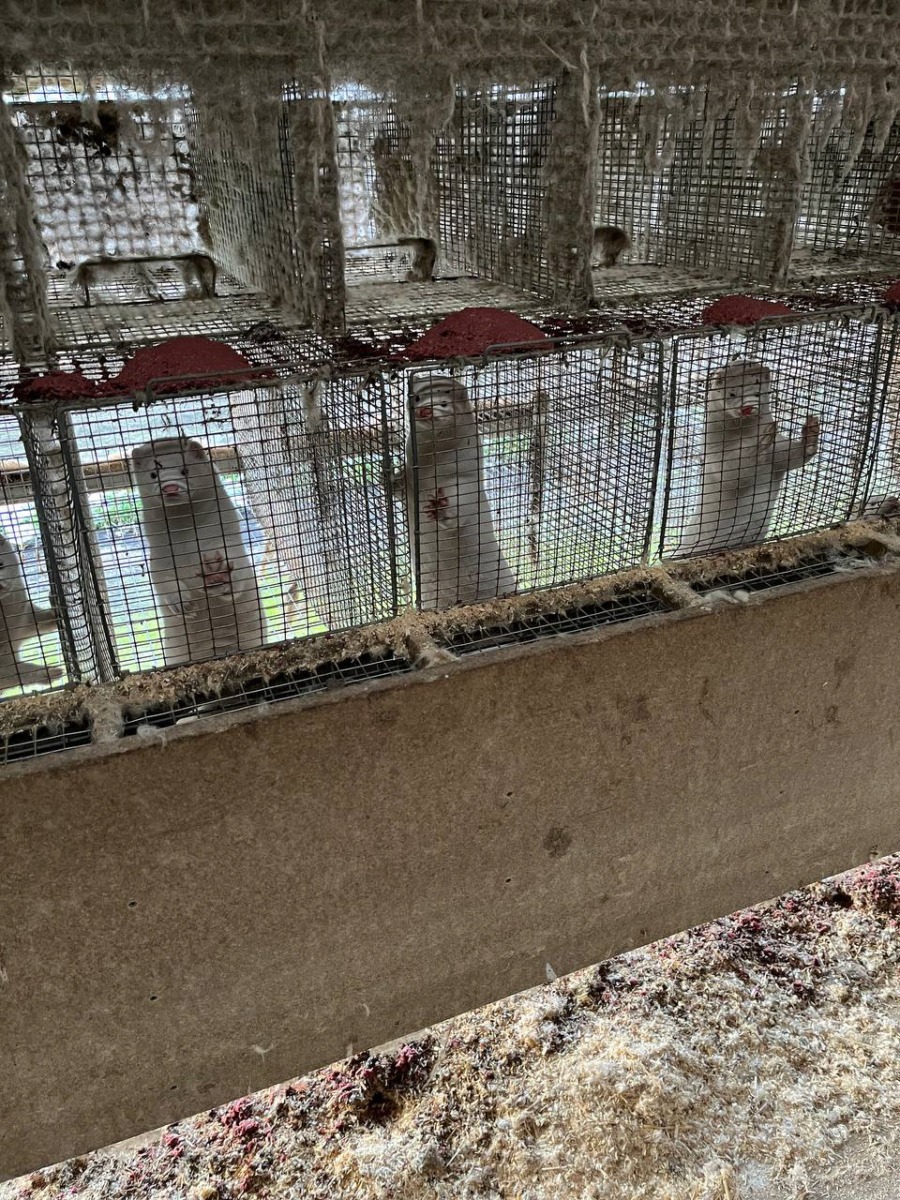 53675234802_66570afd58_o