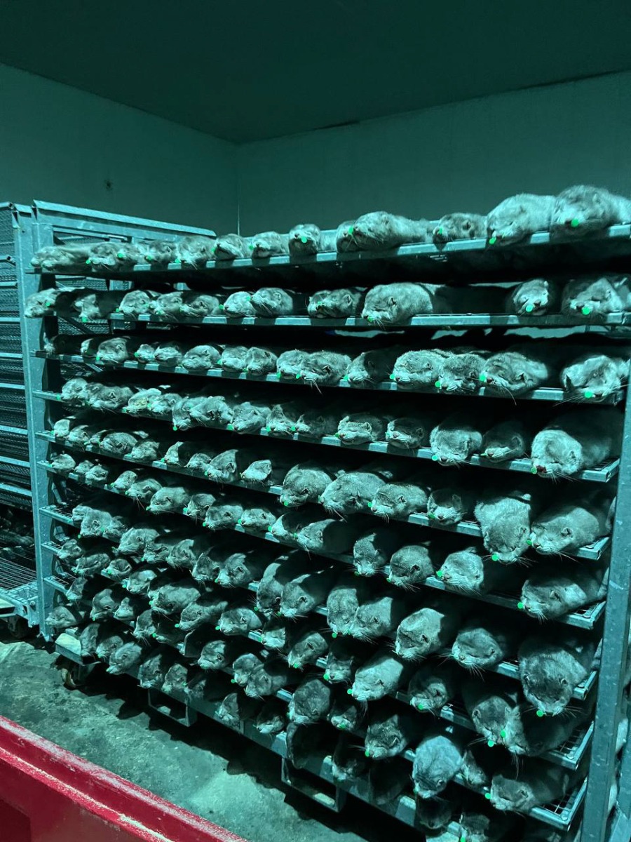 53675234937_f9ebbcda2b_o