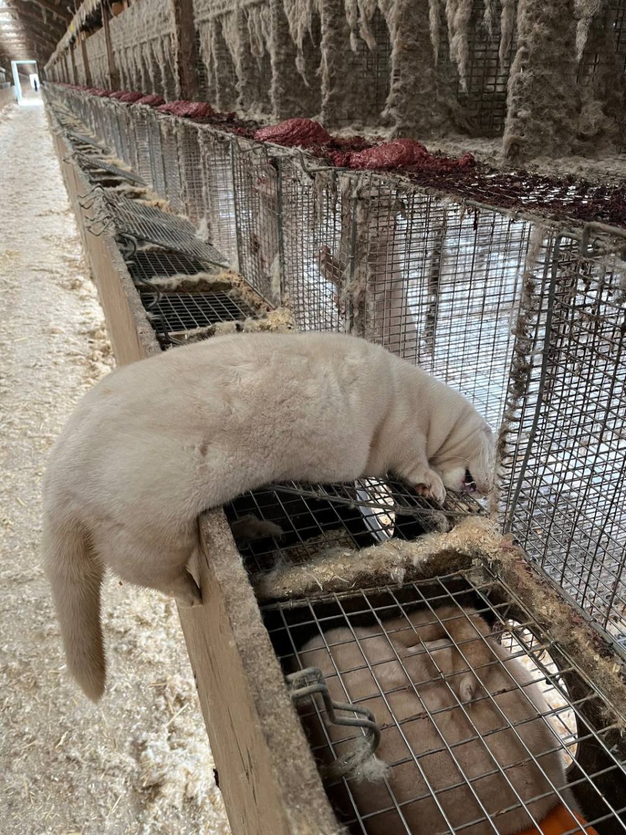 53676465949_5efdea4e60_o