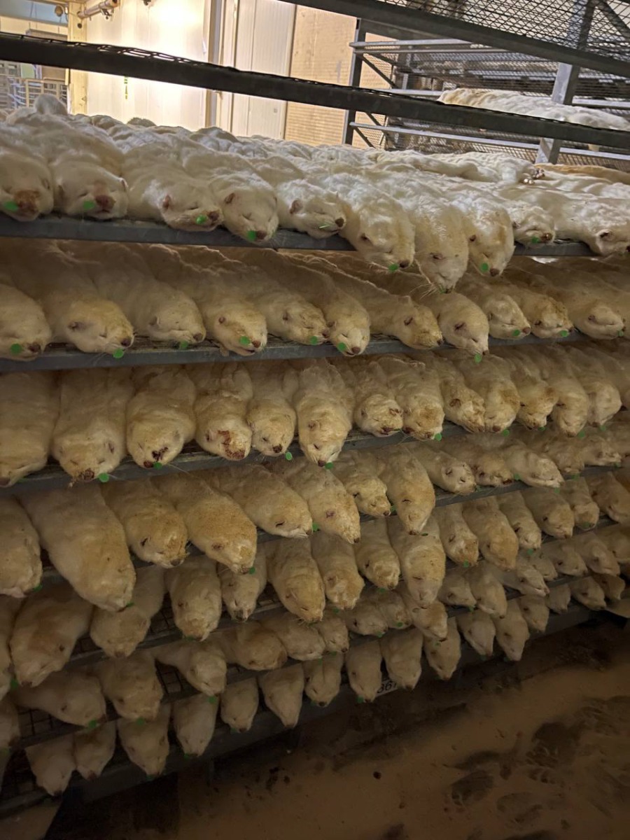 53676466134_2b4122253d_o