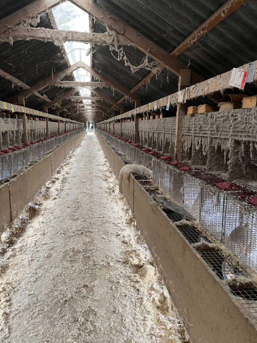 53676566820_5f5235139d_o