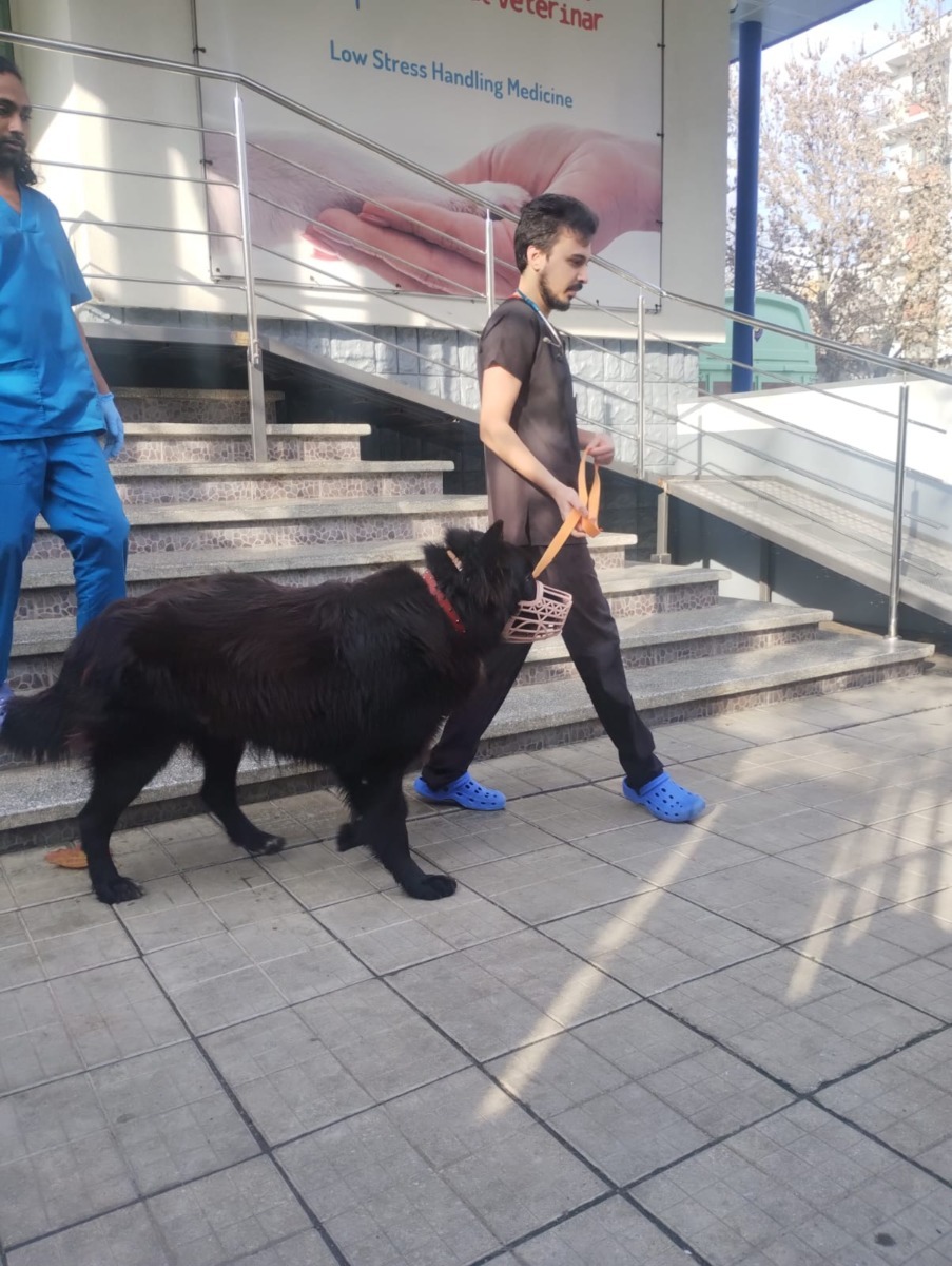 577042861_1198905742394561_7867726400449918153_n