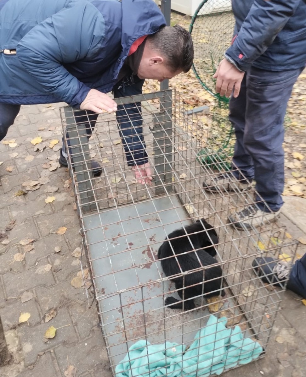 577064806_1198906092394526_4797364415966530810_n