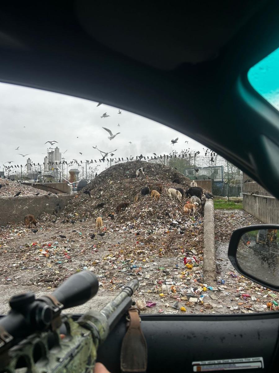 586681159_17883505146409875_7728851884349805294_n