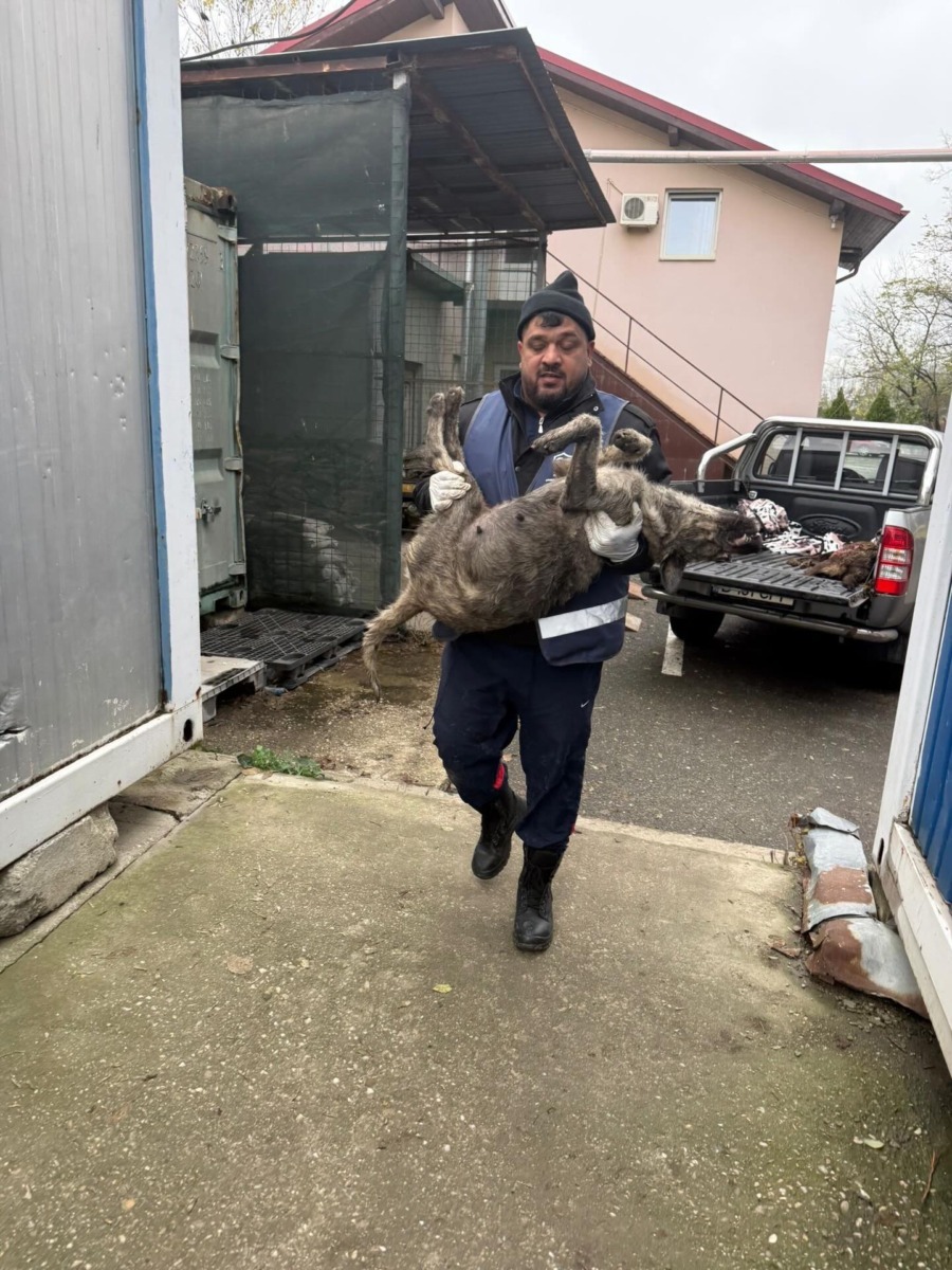 587309469_17883505161409875_437178054068449435_n