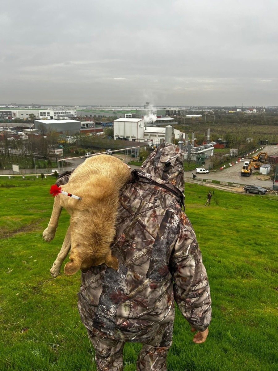 587513048_17883505137409875_9105525472848744215_n