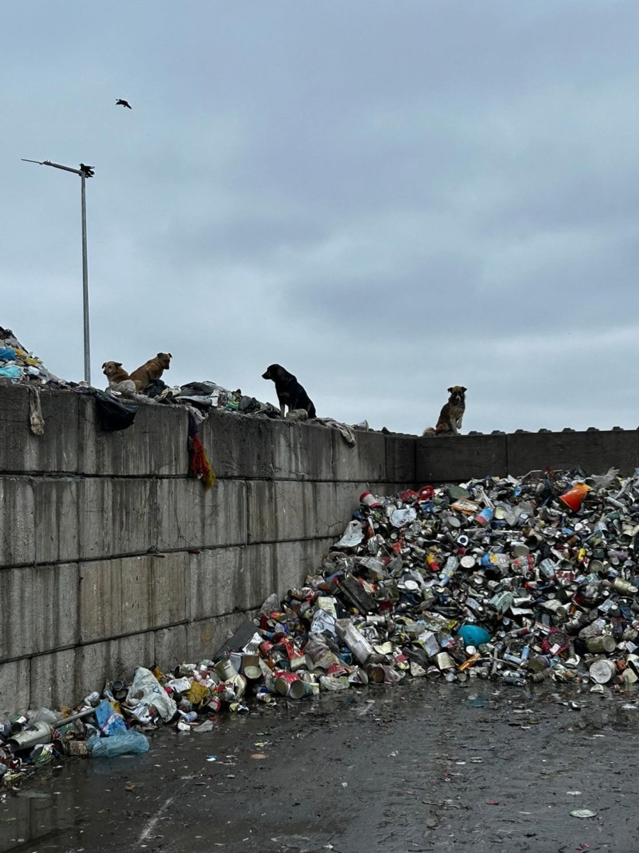 587534140_17883505134409875_1515722280276923291_n