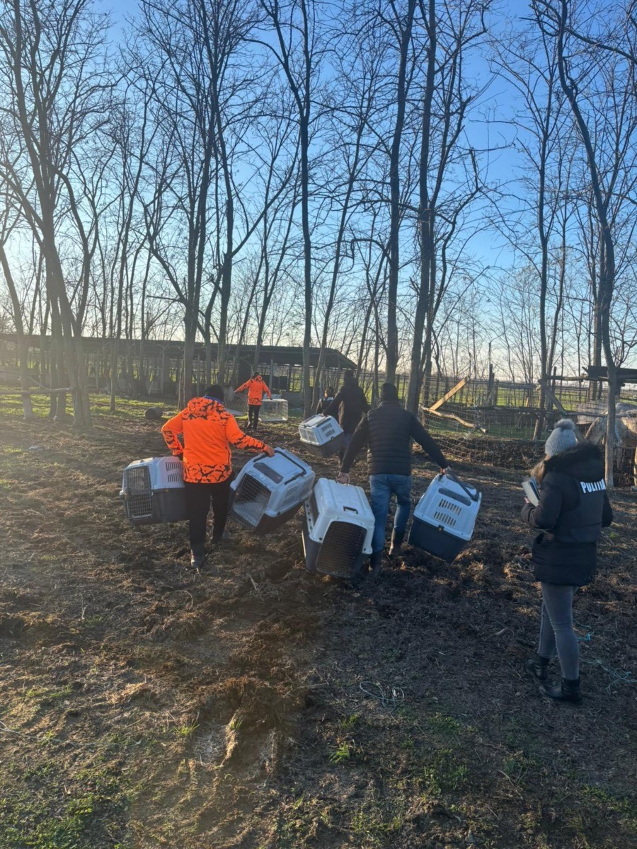 587876078_864345502628743_7242617933348588257_n