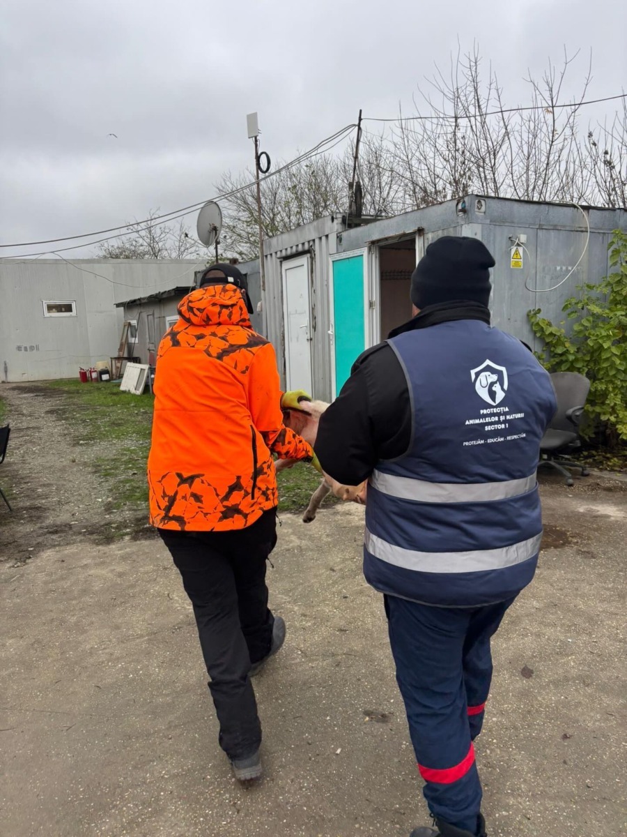 587894480_17883505173409875_846882216328235859_n