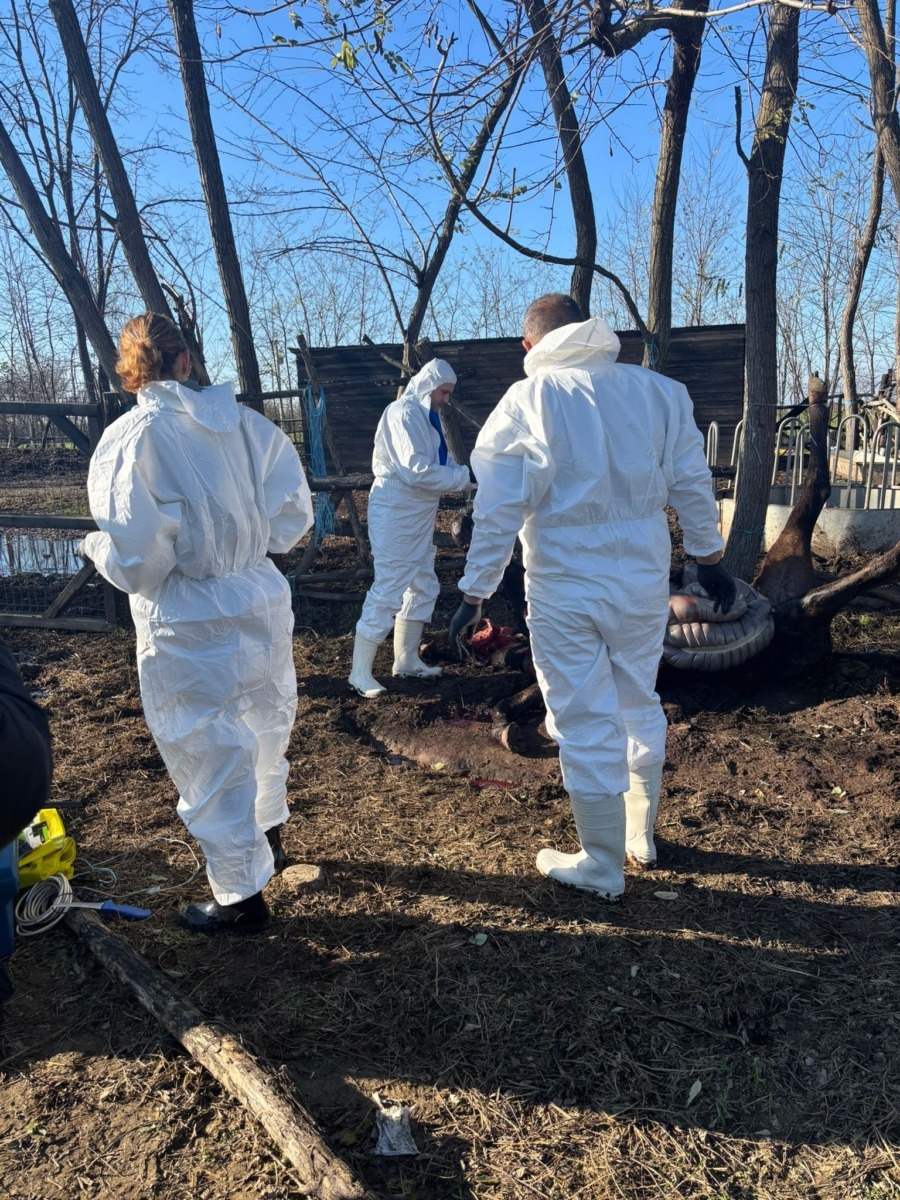 588033775_864344589295501_840598519656972401_n