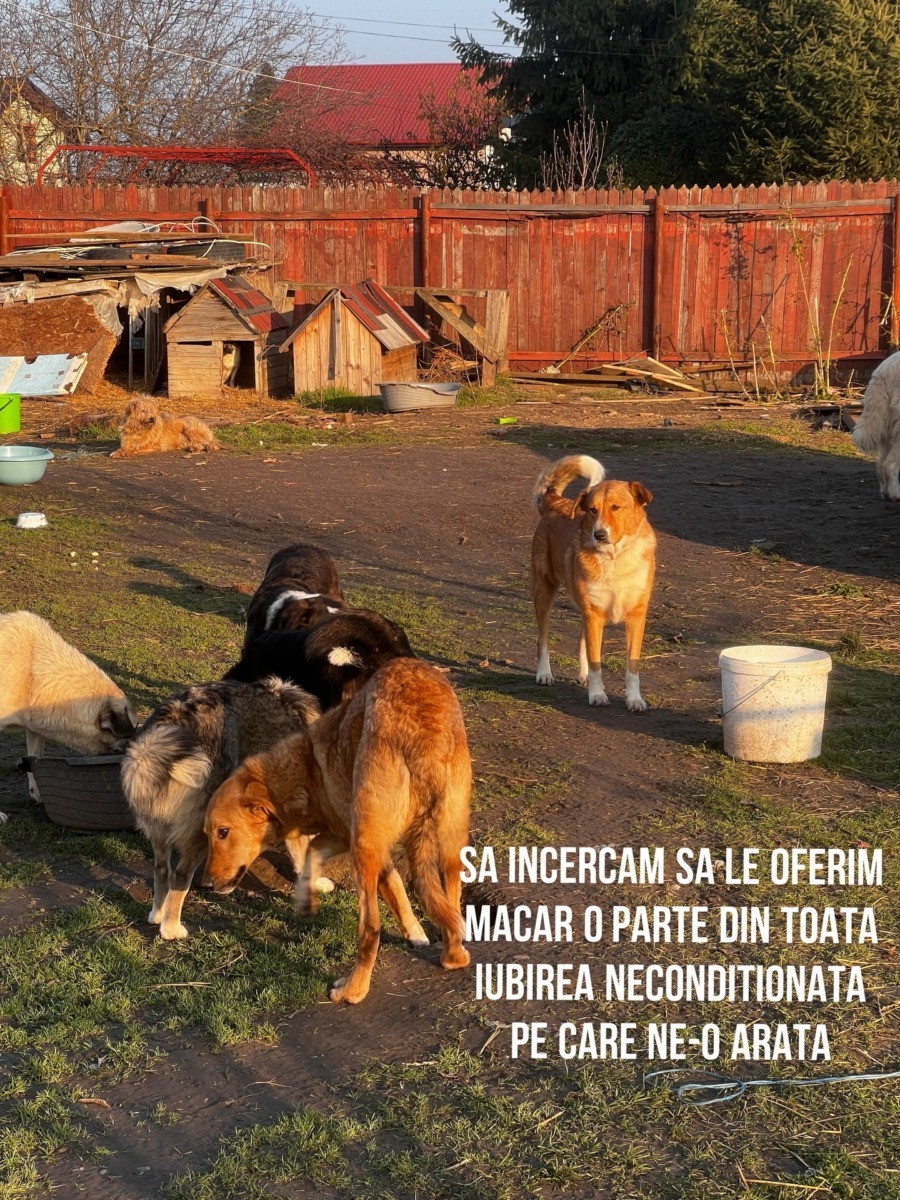 588073363_18548194255029744_6292368106418194871_n