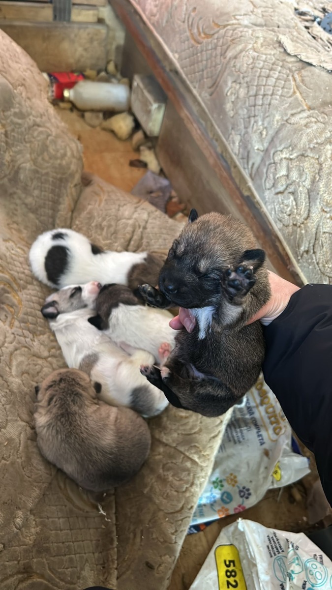 588633306_864344979295462_939307228460759922_n