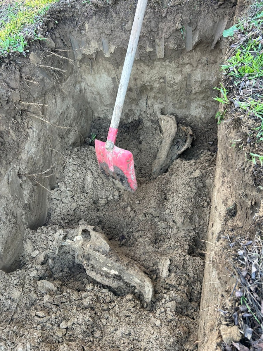 588642705_864345485962078_3154516335108191423_n