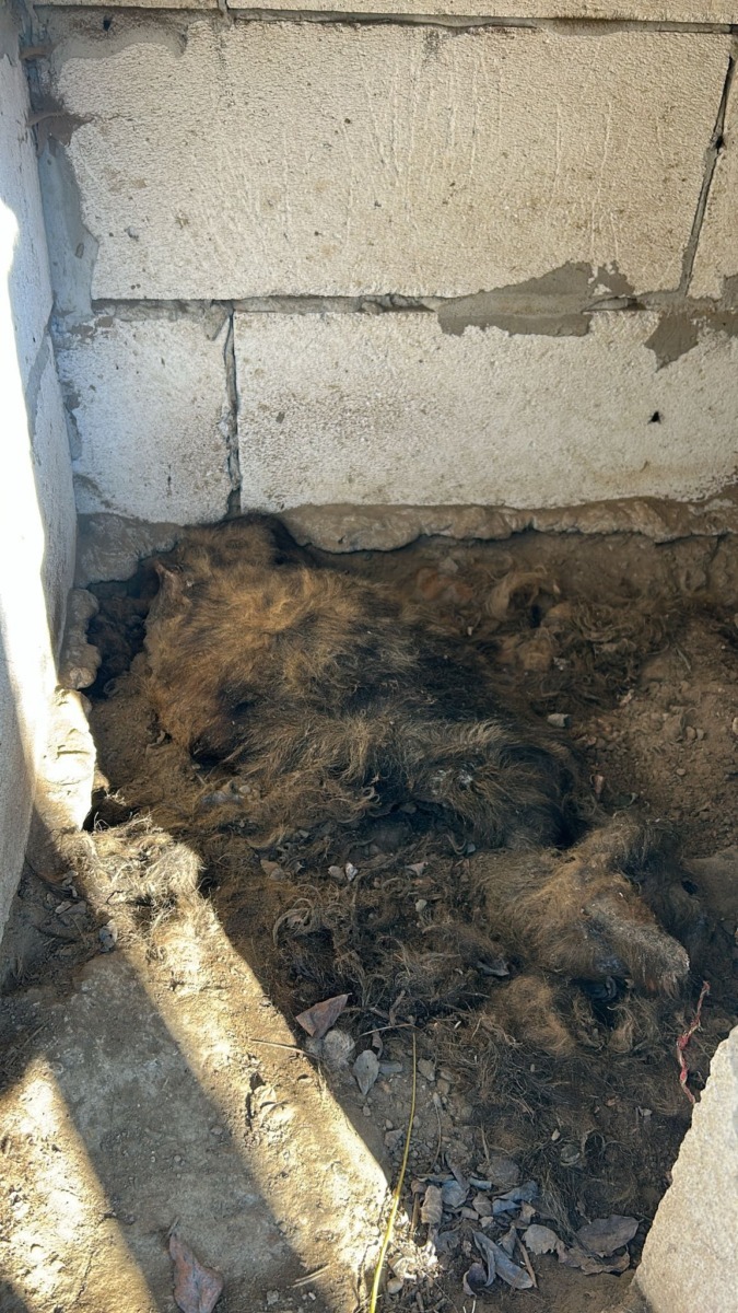 588644118_864345562628737_7970795741205516356_n