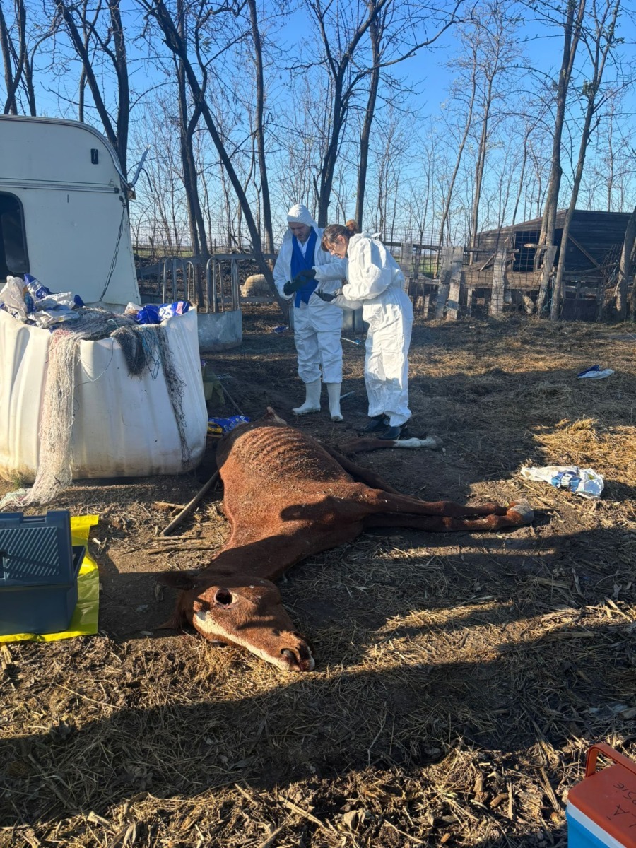 588769427_864344572628836_9025361129748723742_n