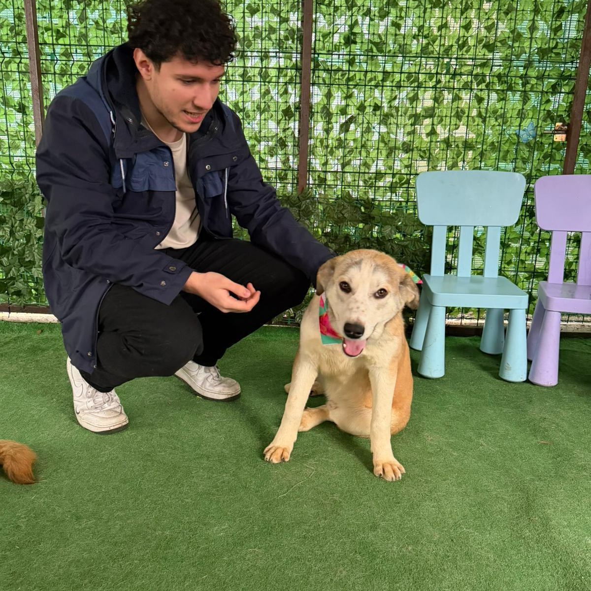 588812328_1194650632820072_732297049249972818_n