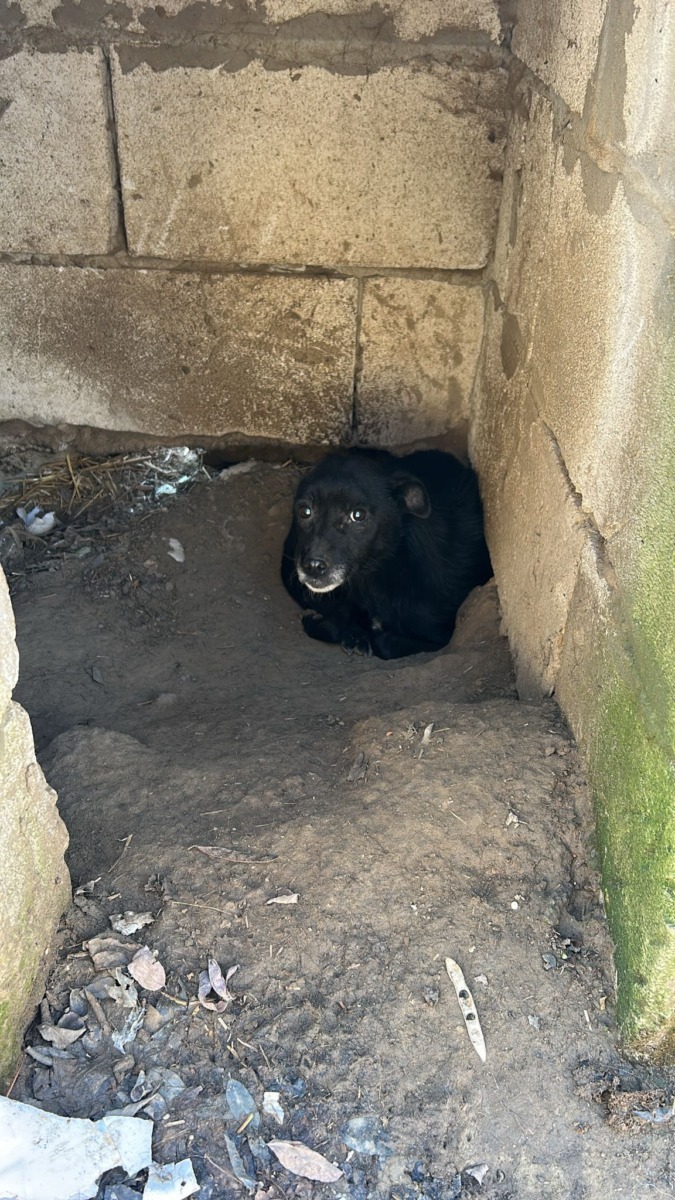 589013164_864344899295470_1799536495883434185_n