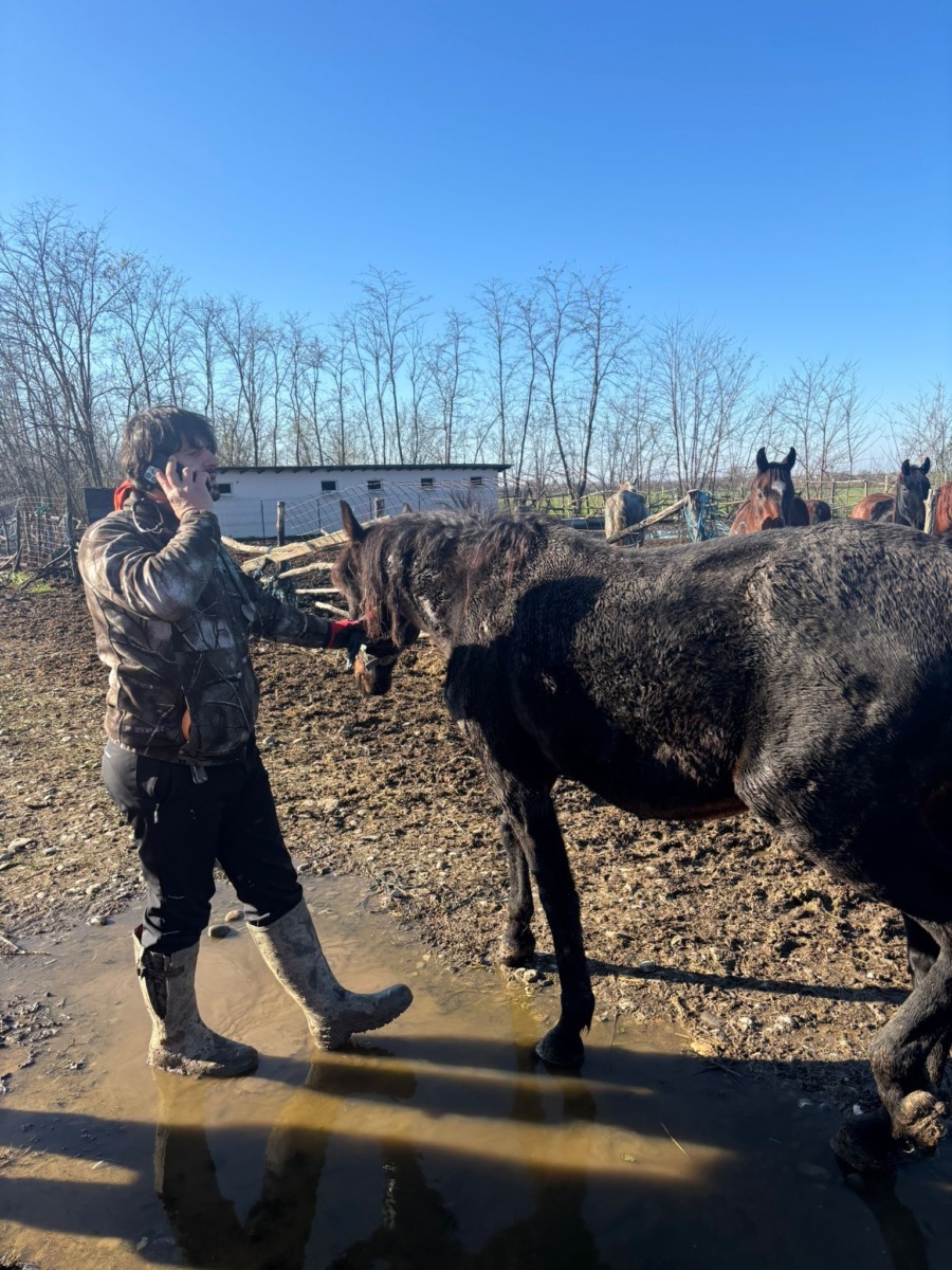 589104876_864345439295416_4650128724858032358_n