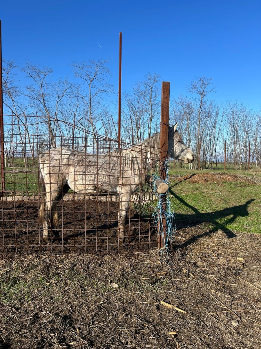 589408251_864345402628753_4079670816979197818_n