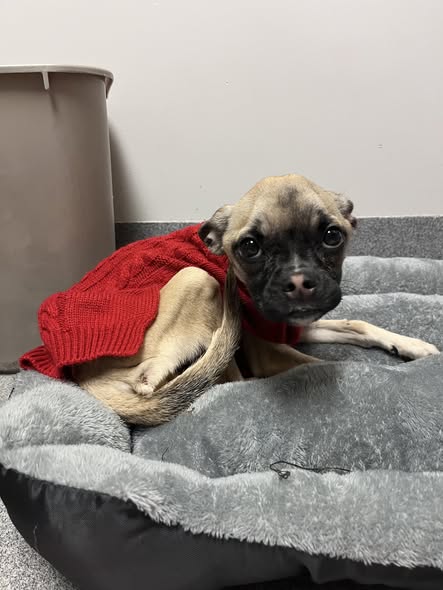 589534311_1254799243358416_2697510788904540194_n