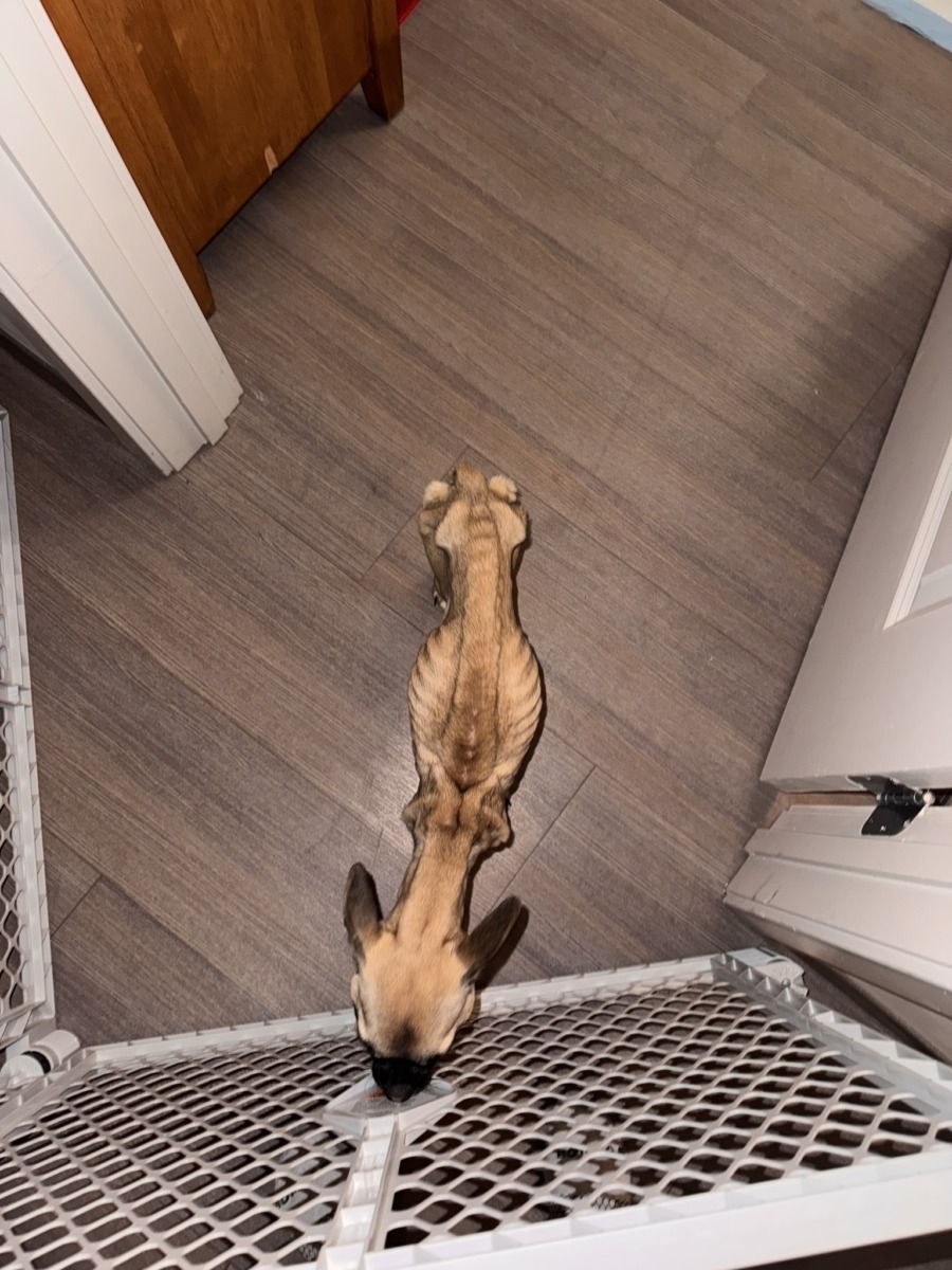 589541605_1254799223358418_1322039529257165168_n