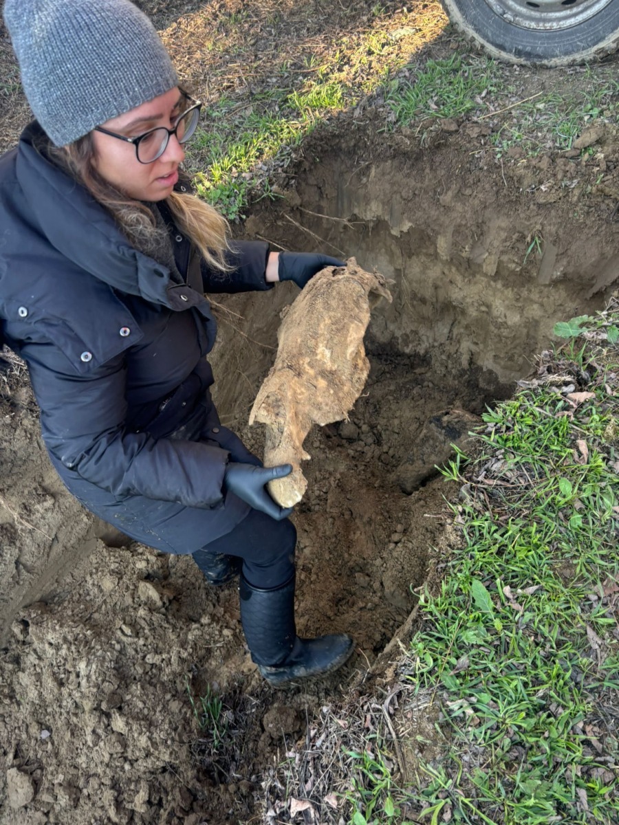 589712746_864345432628750_704977436950269244_n