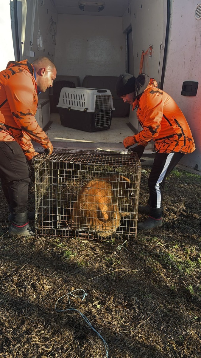 589819544_864345012628792_744500152204710122_n