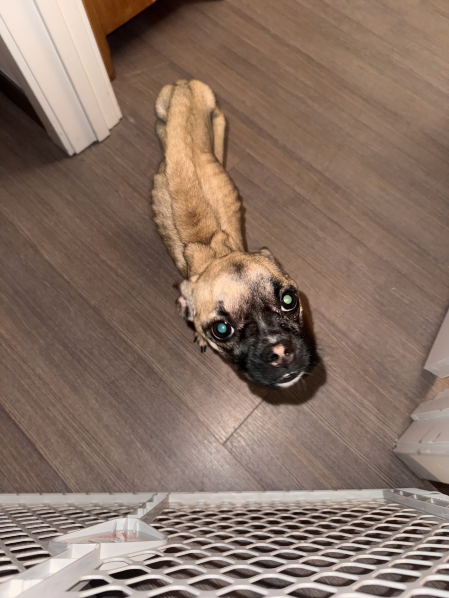 590029159_1254799206691753_3445505171406685545_n