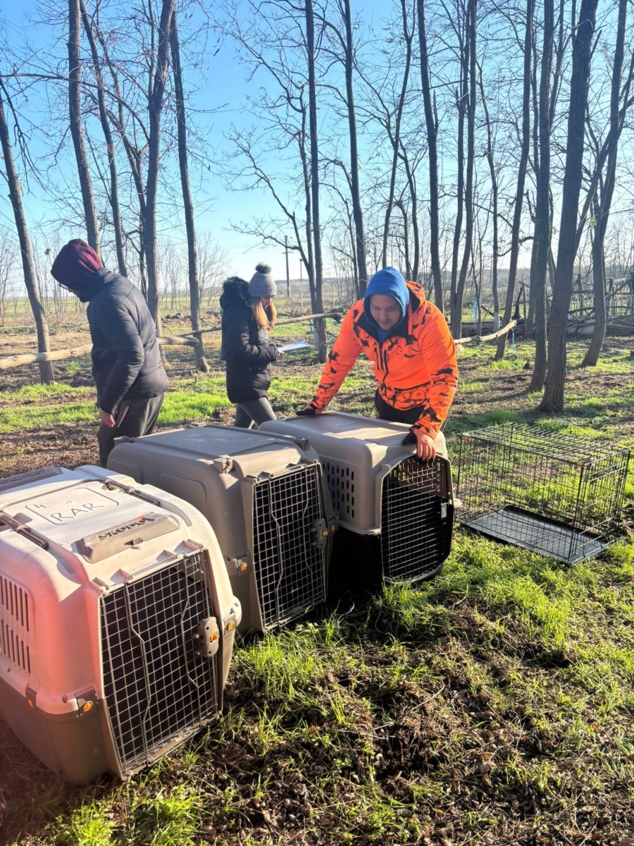 590404236_864344699295490_5474624685837002826_n