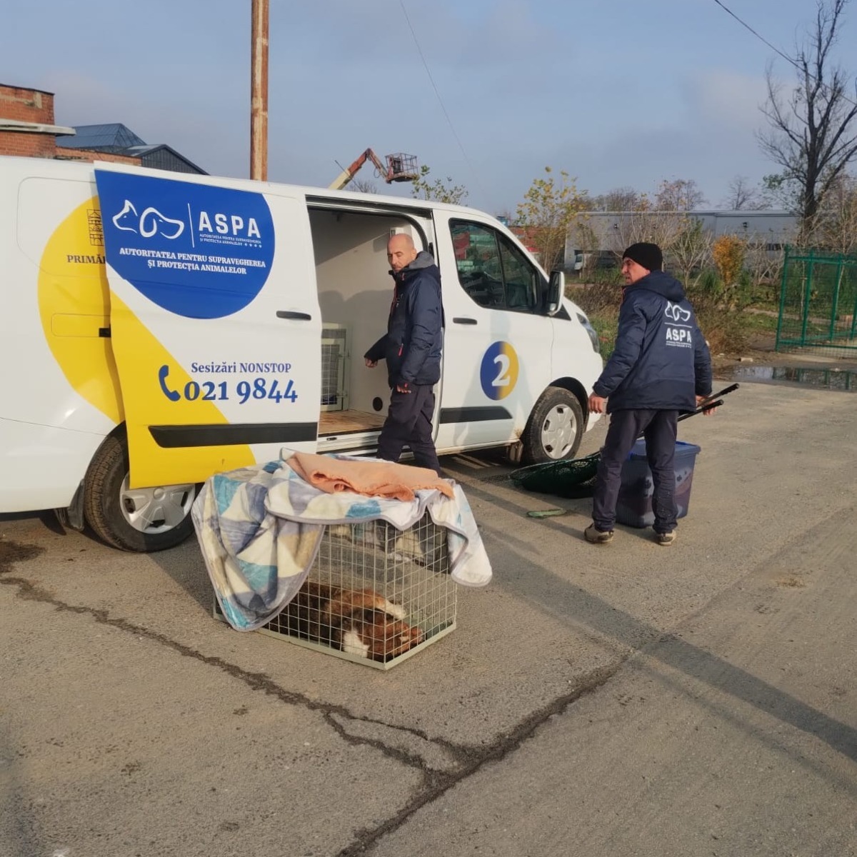 590563377_1195297279422074_5728344923308007498_n