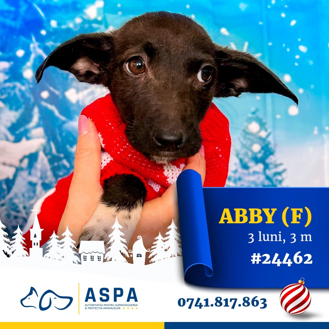 591418029_1193897159562086_2191125738532747298_n