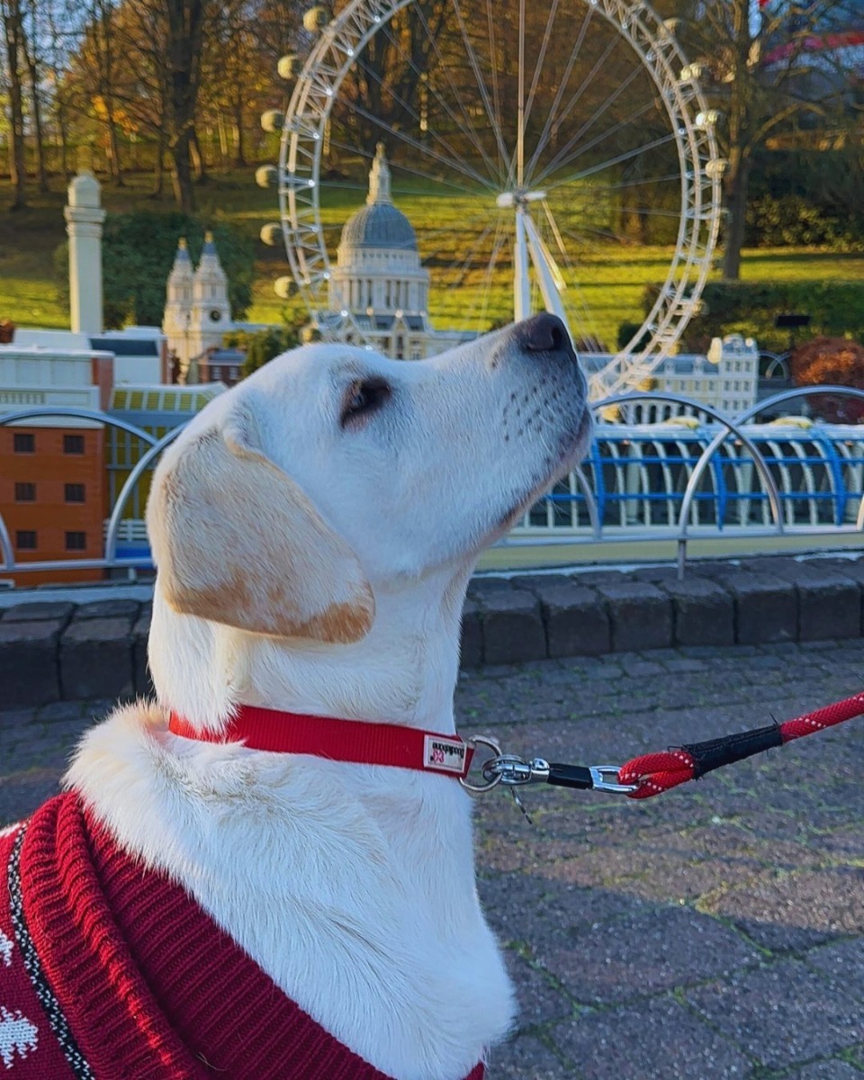 591575323_1275056644655015_1412973372898275770_n