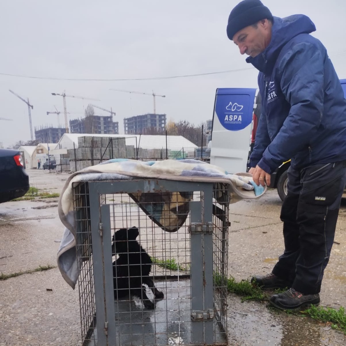 591882714_1195297972755338_6346597535044537101_n