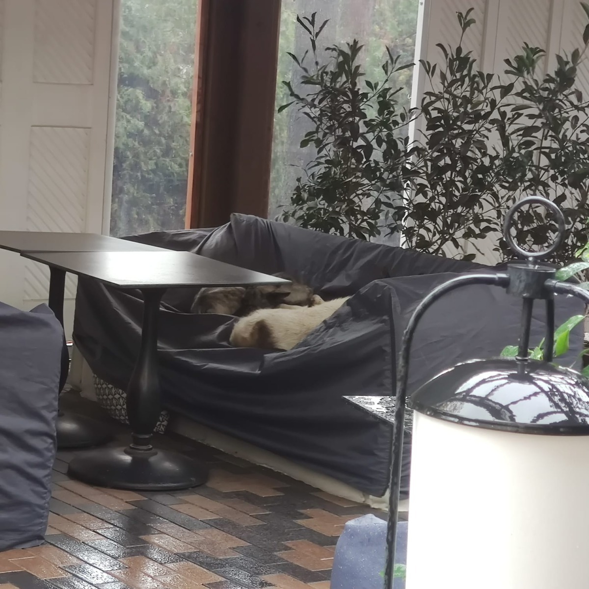 592185189_1195297006088768_1401217311504376631_n