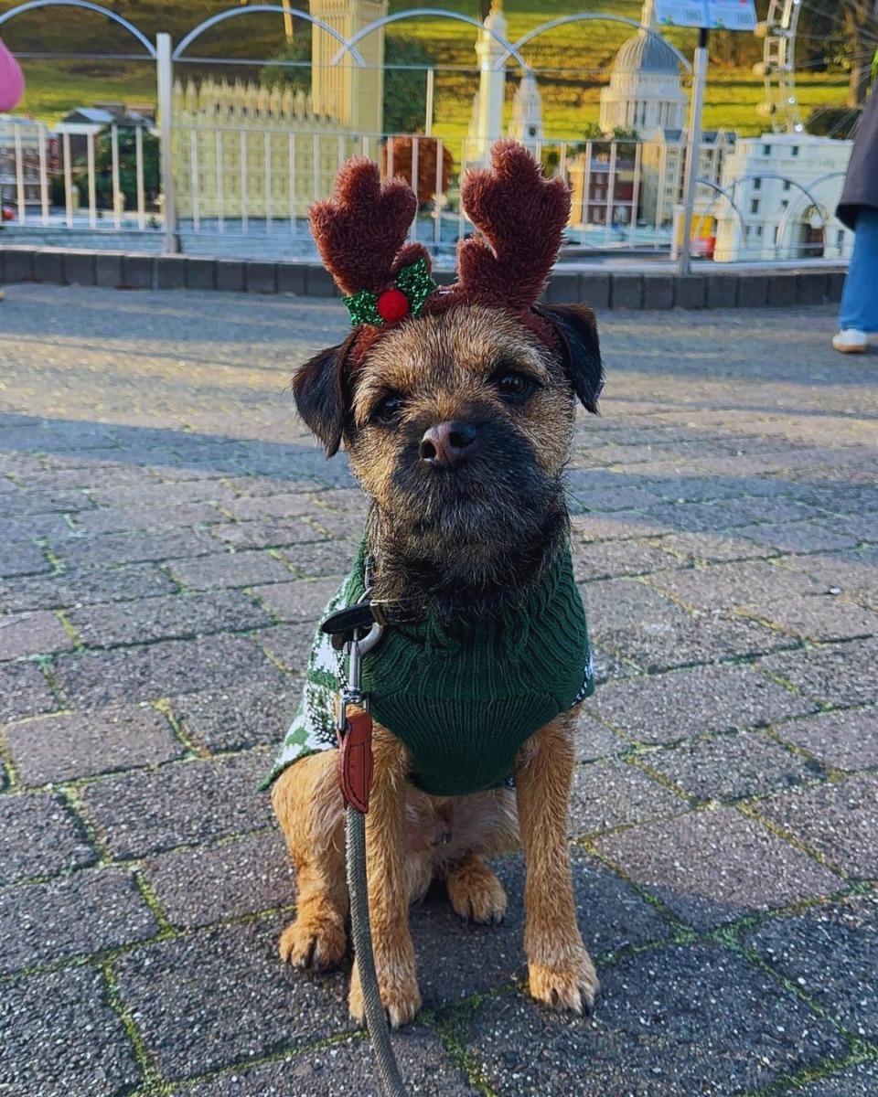 593052488_1275056697988343_5706239871129802792_n