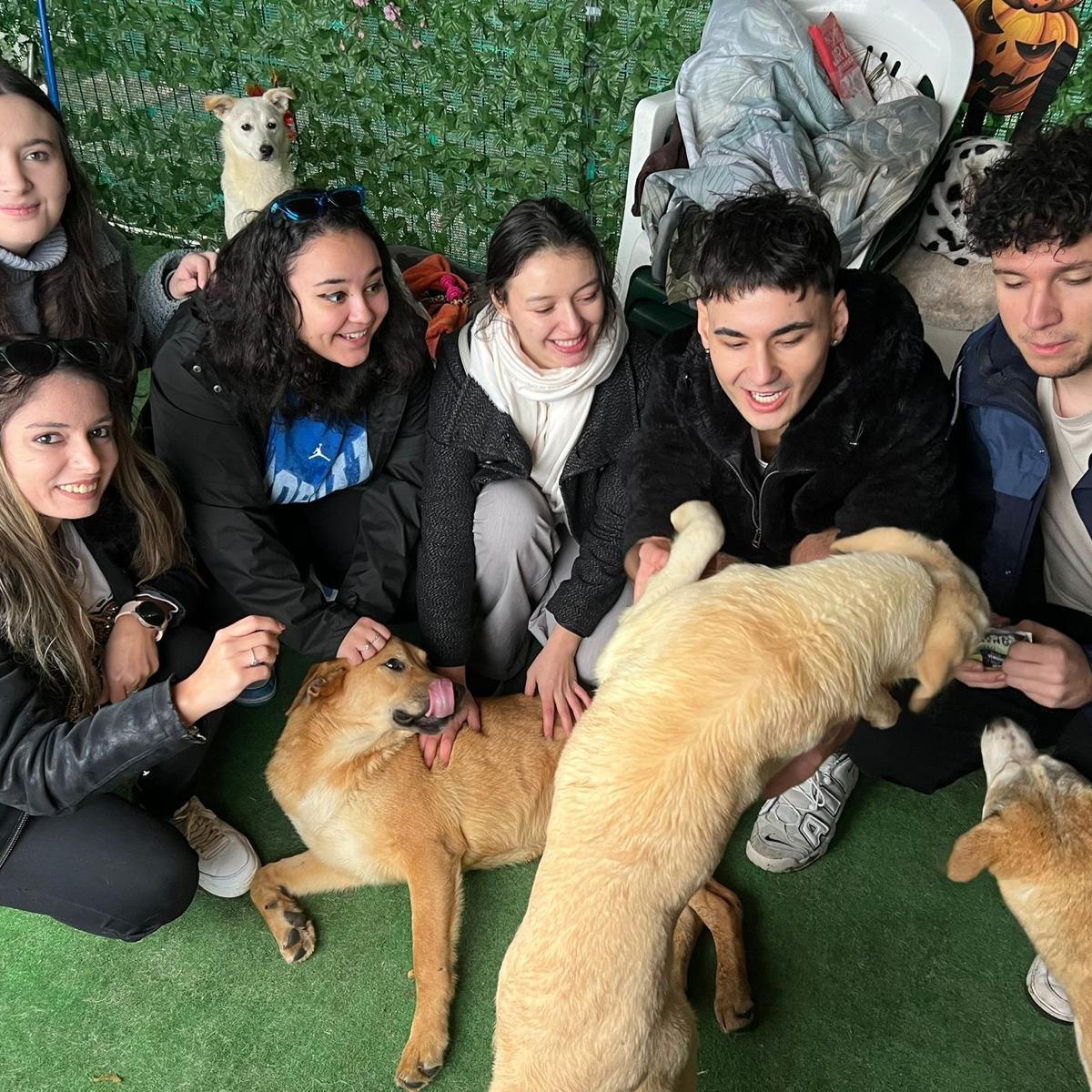 593291855_1194650639486738_442363681405662951_n