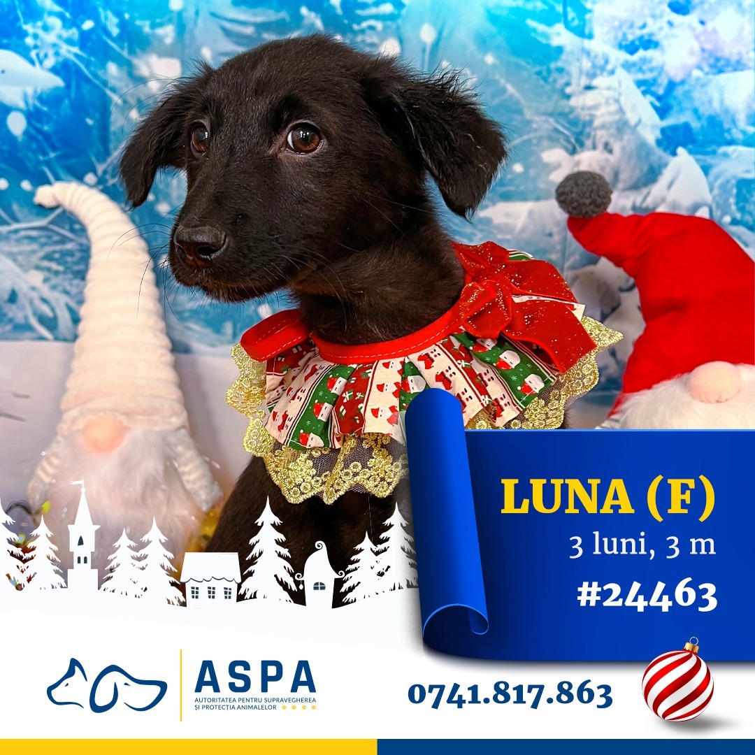 593335408_1193898599561942_8073987258819710598_n