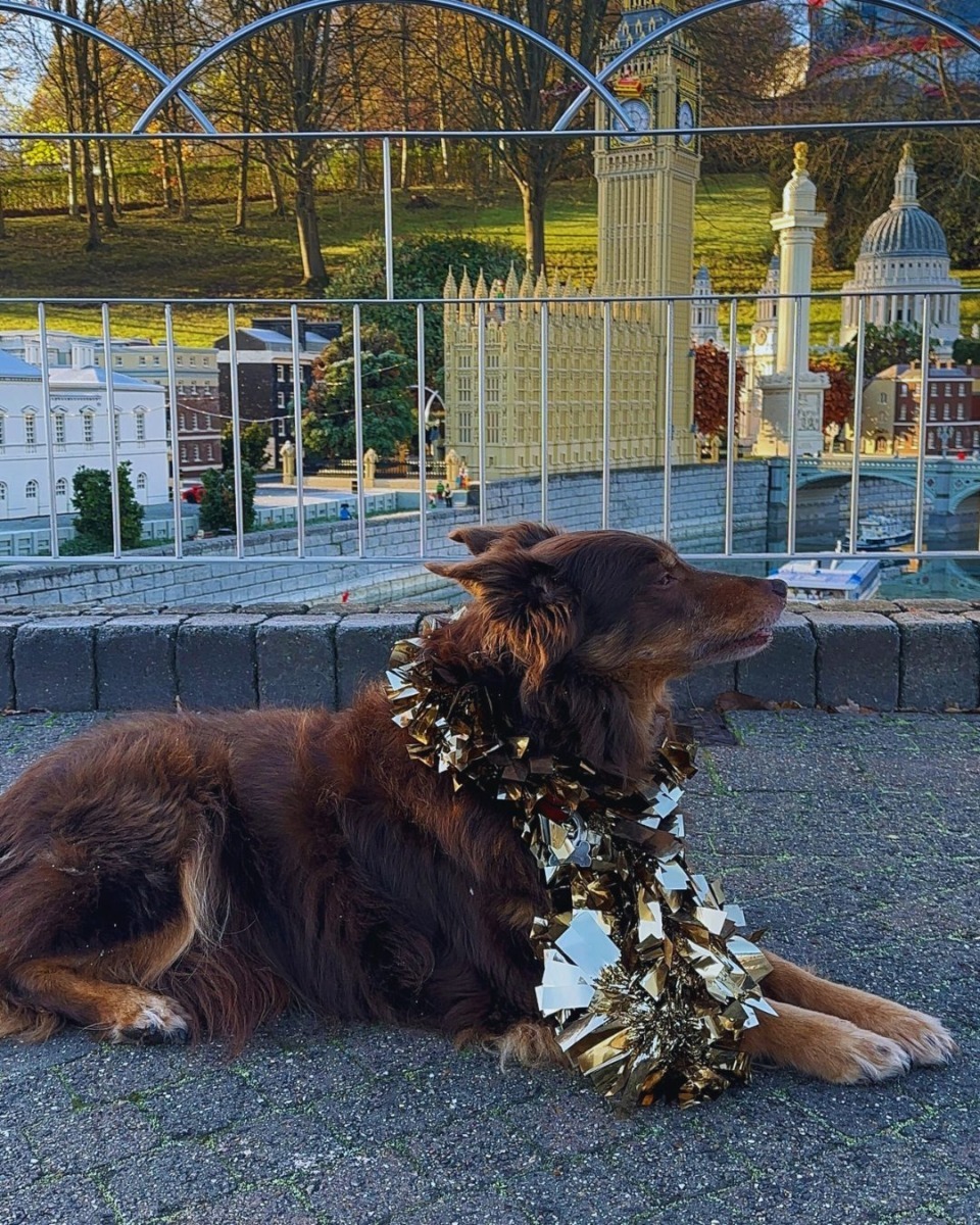 593895422_1275056754655004_4926075117035941551_n