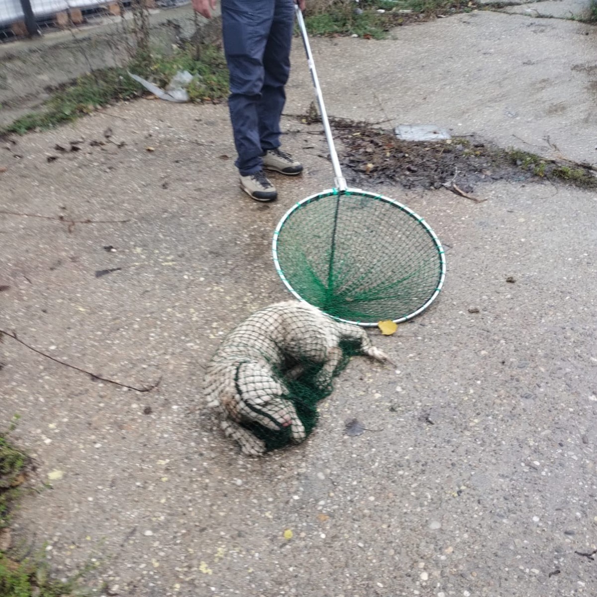 593994992_1195298219421980_5981083972925288039_n