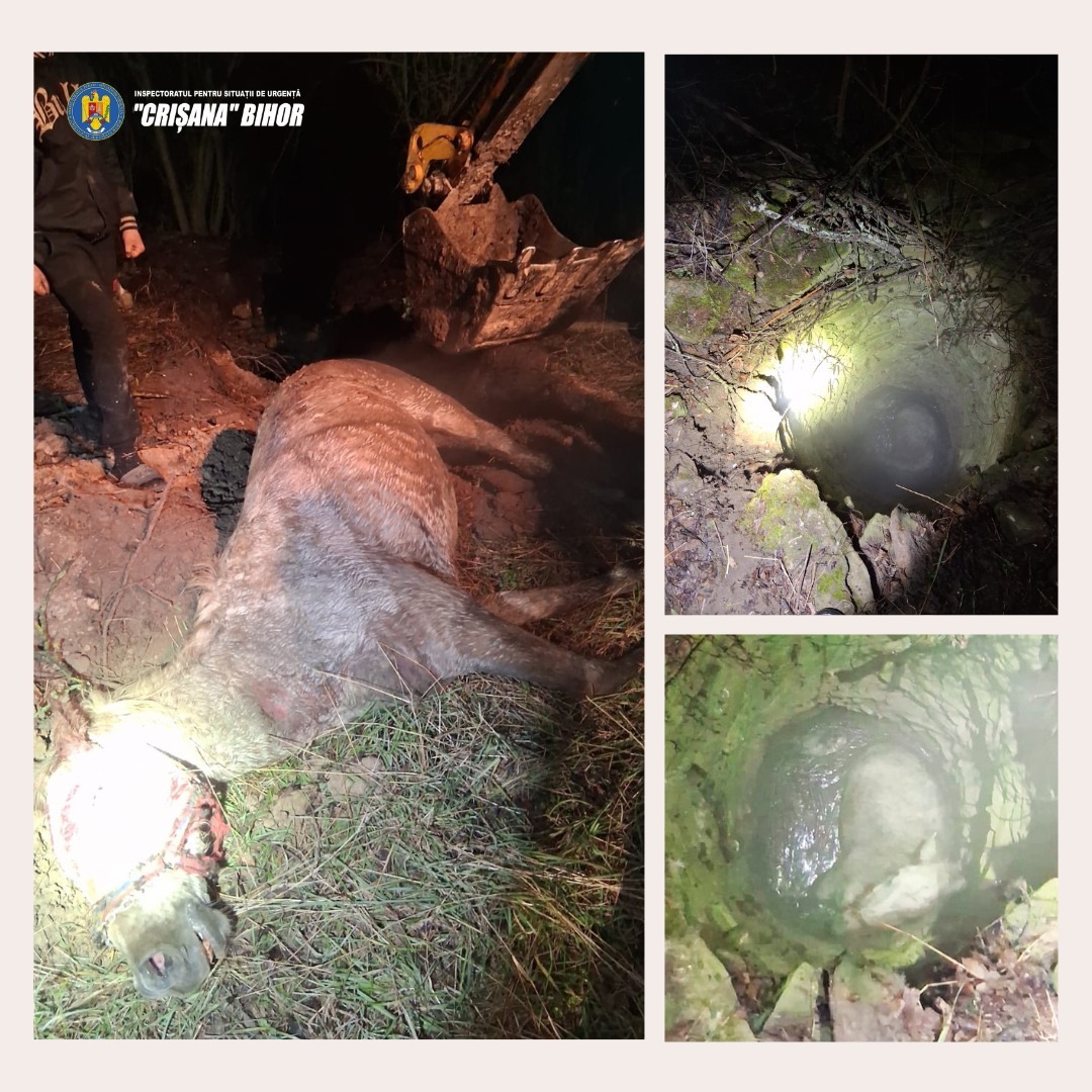 Cal scos de pompieri dintr-o fântână