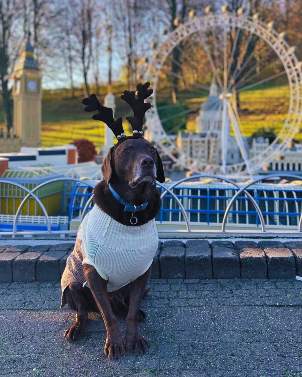 594130271_1275056721321674_8802278283837008986_n