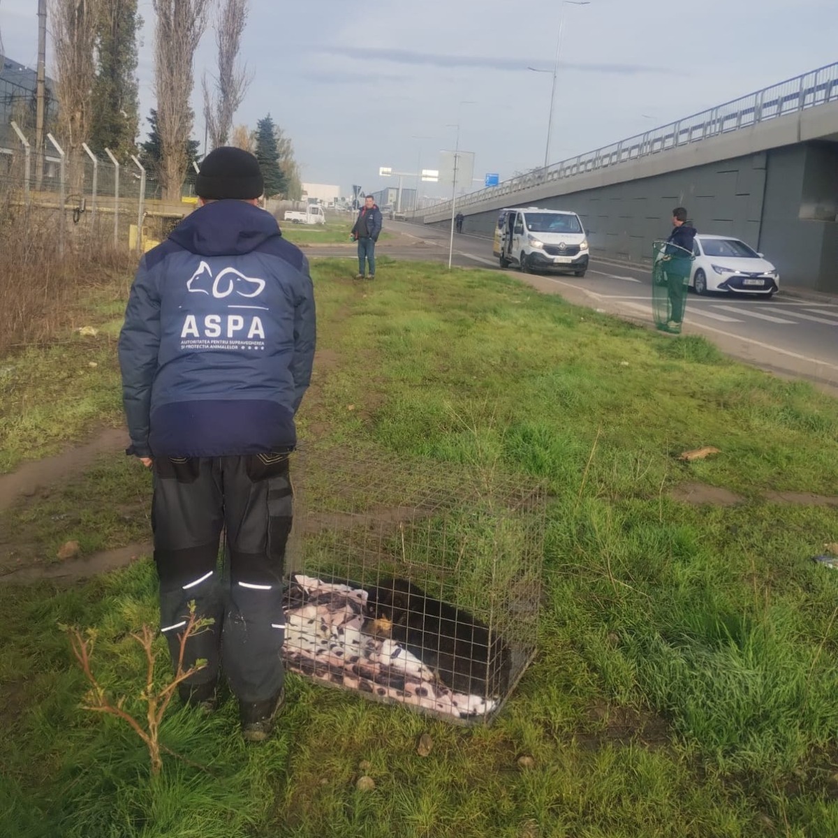 594151782_1195297392755396_5864101941085615678_n