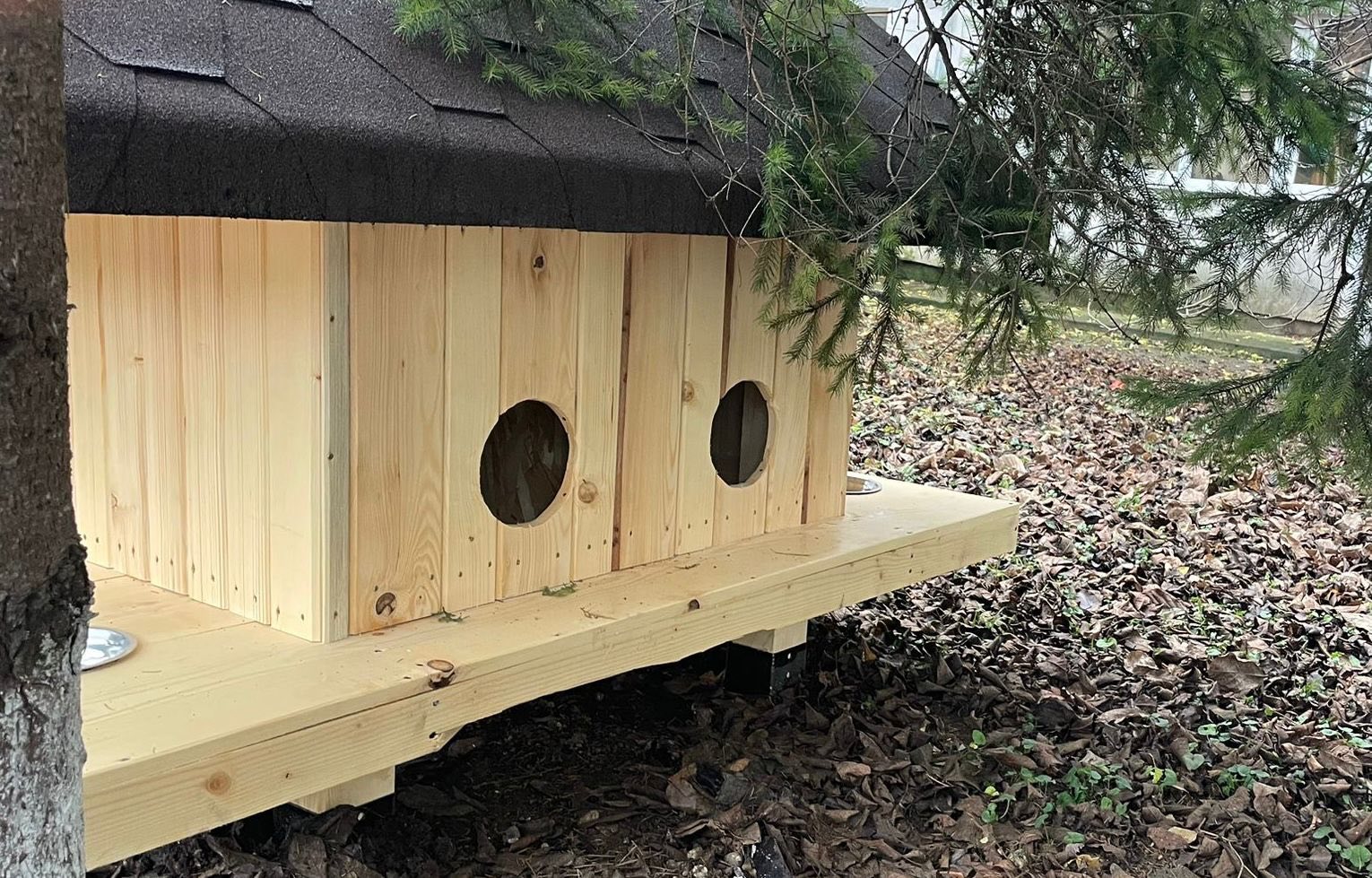 594631273_1168295792173326_8229402849257003206_n