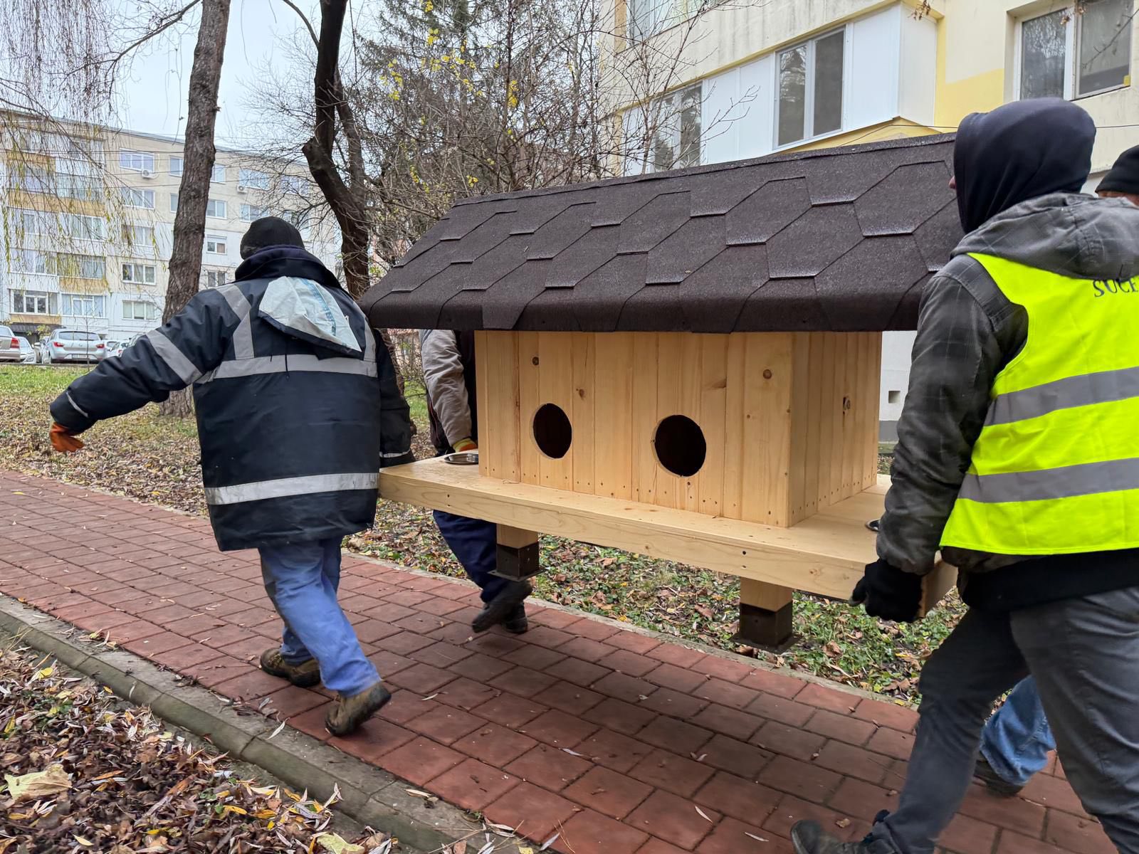 594770720_1168295788839993_5769991742912986897_n