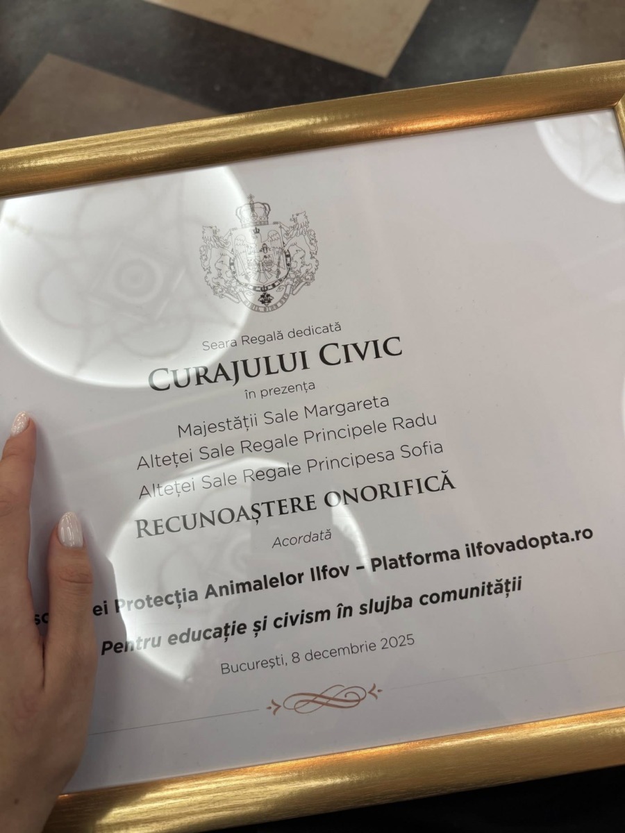 595140475_26203948379208598_6968827538608326313_n