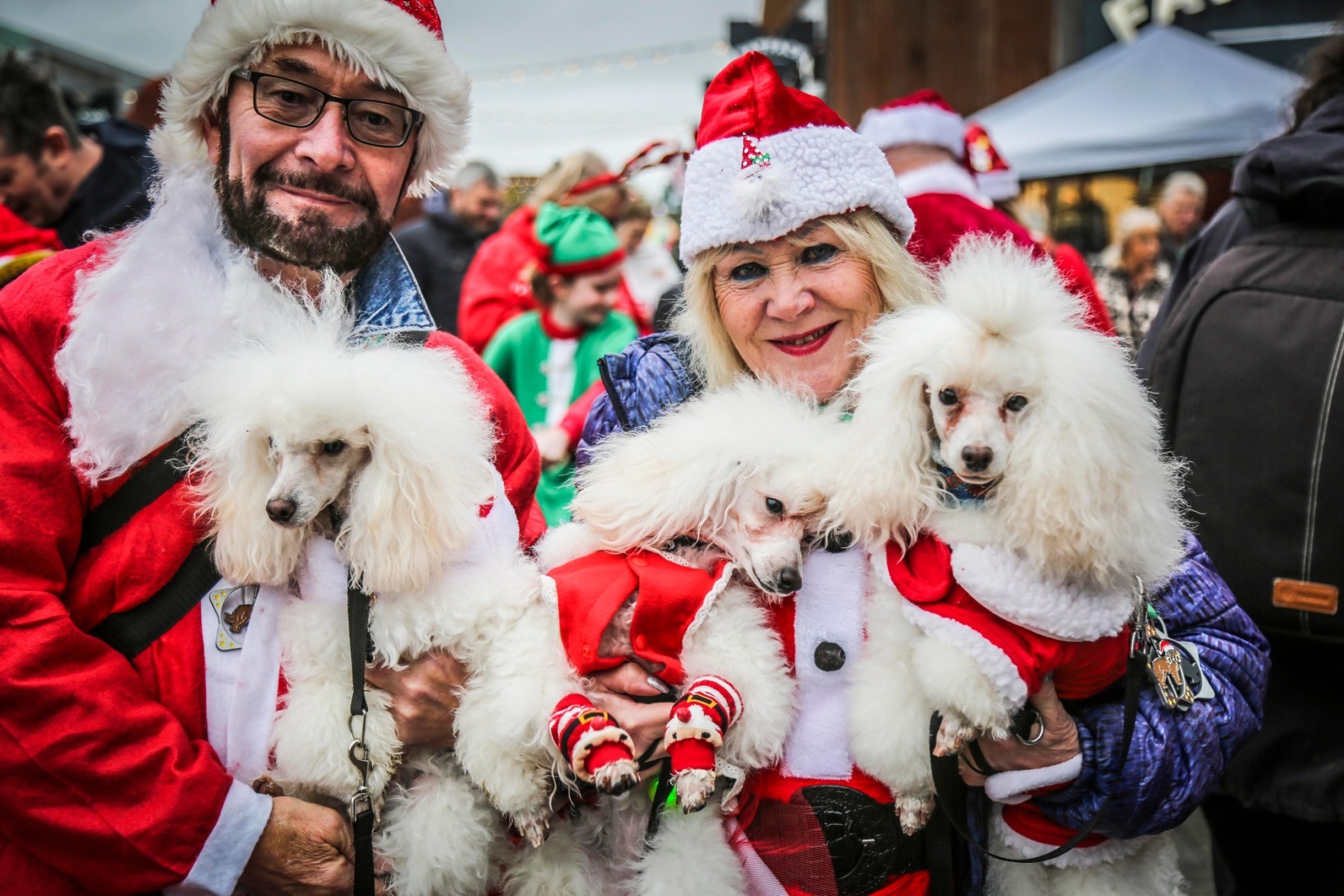 595654572_1156613583331707_2806429286555956659_n