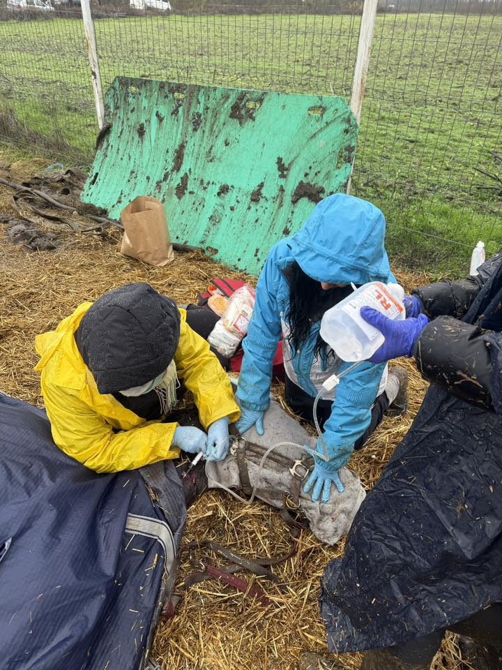 595697540_872681291795164_168279248759821812_n